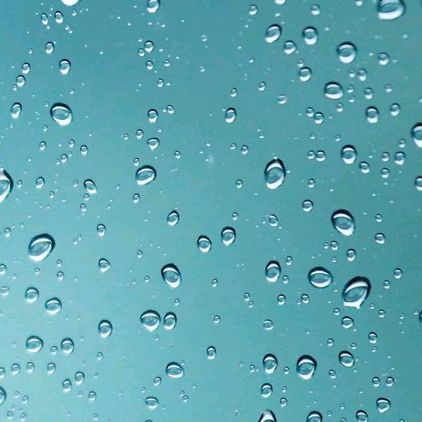 爱吃猫的鱼🐠²⁵⁷