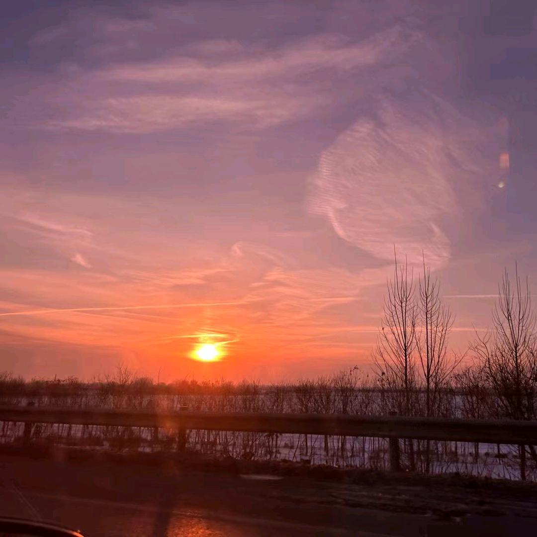春景好物臻选阁