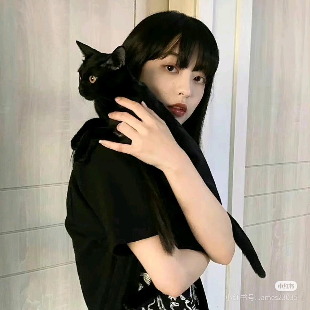 笙歌