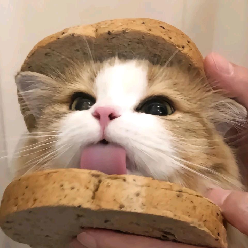 幸福快乐24742986264