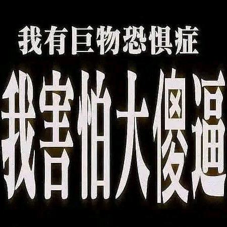 阿阿阿阿阿阿翟