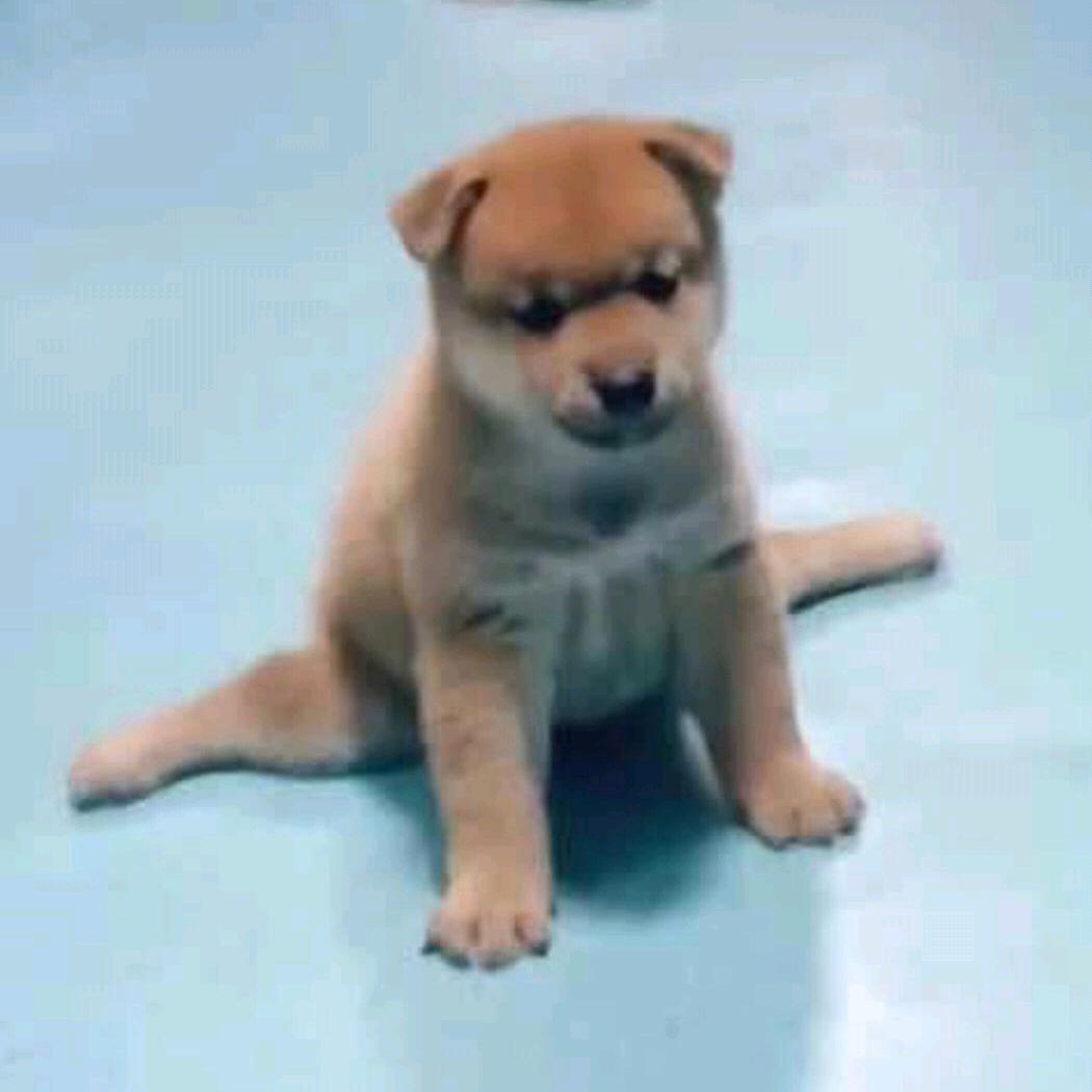 无心哥哥