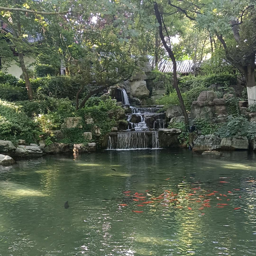 不是丰田也霸道