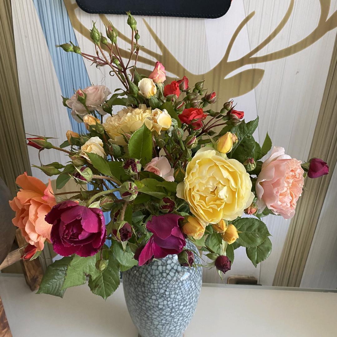 闪闪惹人爱~~~~~~