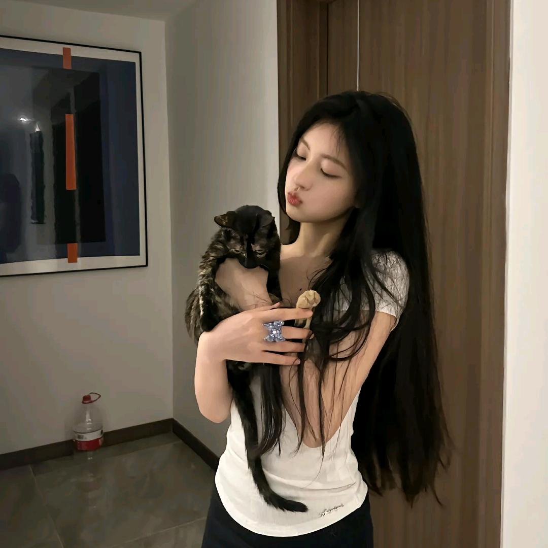 赵赵w