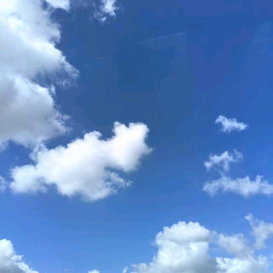 衣衣