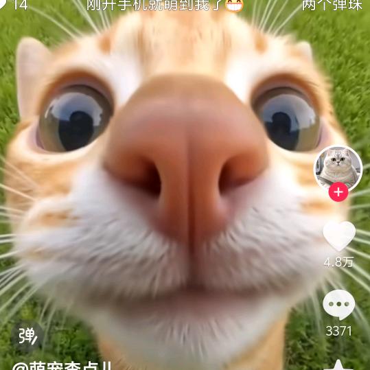 刘欢
