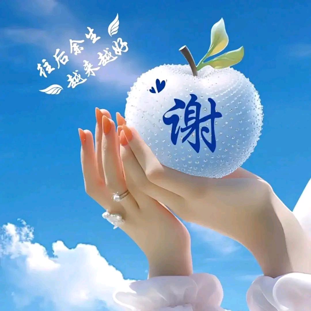用户谢姐