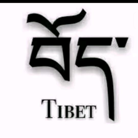 བོད་མི