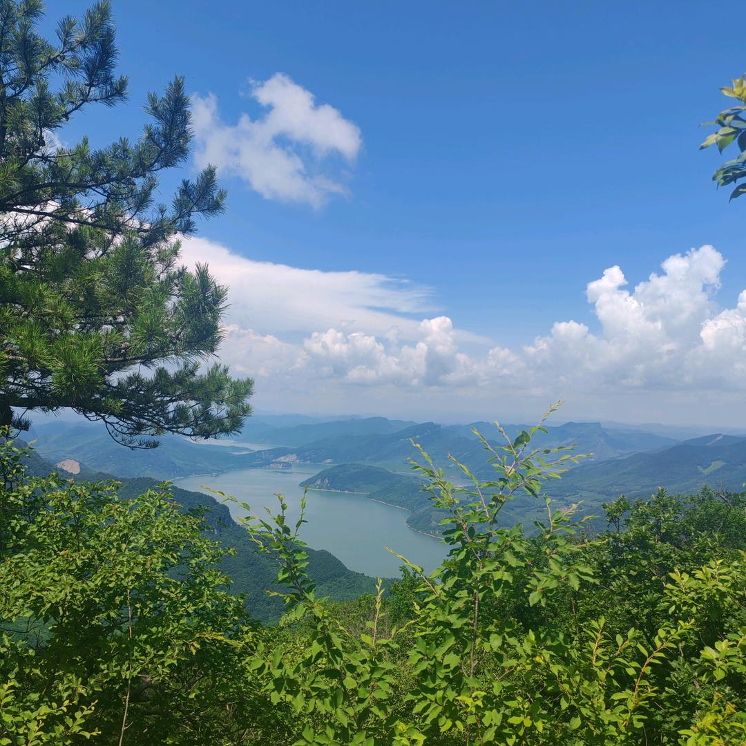 ૮₍❀ᴗ͈ . ᴗ͈ ₎ა