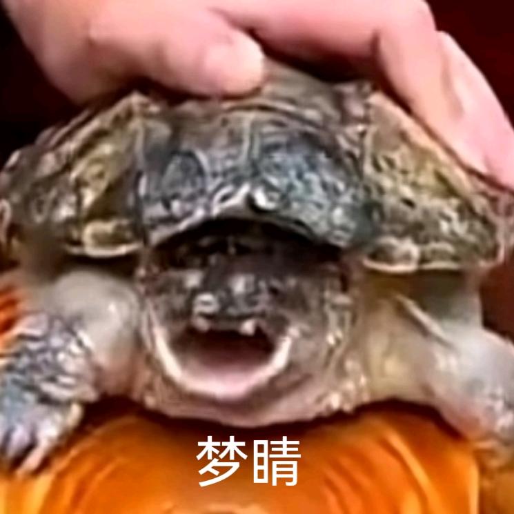 sky梦睛
