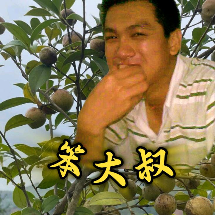 笨大叔