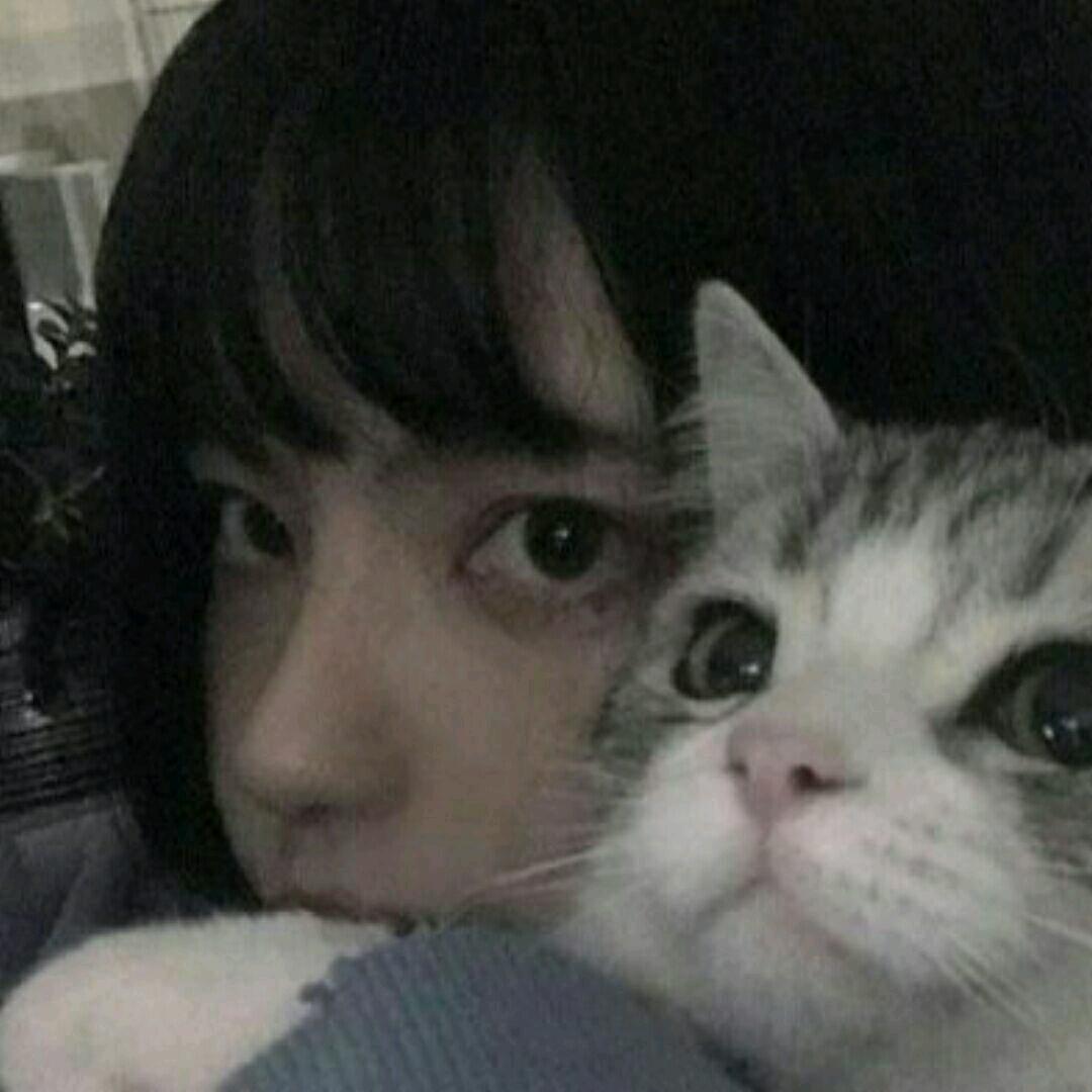 开始纠缠之后.