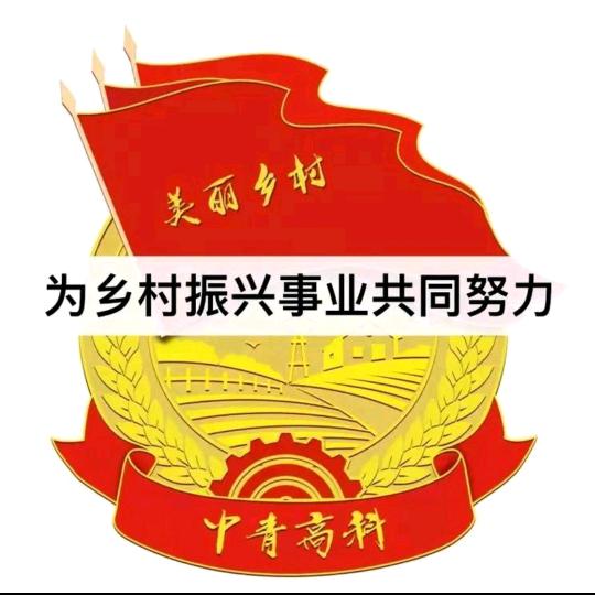 小陈在基层