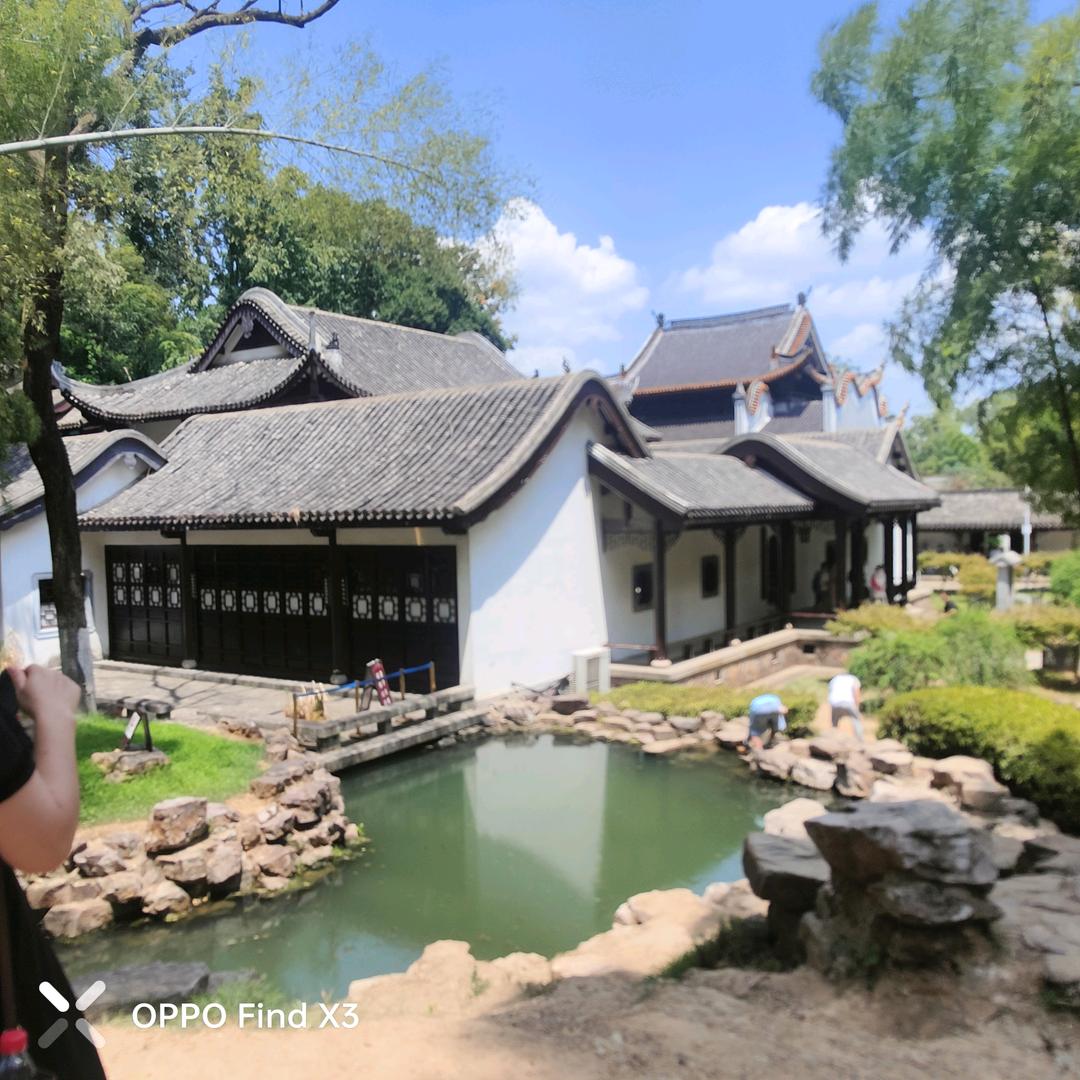 快乐伊人