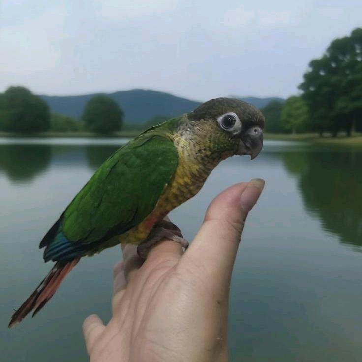 🌞🌙✨🌈༺瘾🦜者༻🌈✨🌙🌞