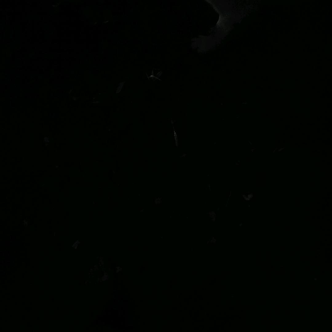 。。。。。。