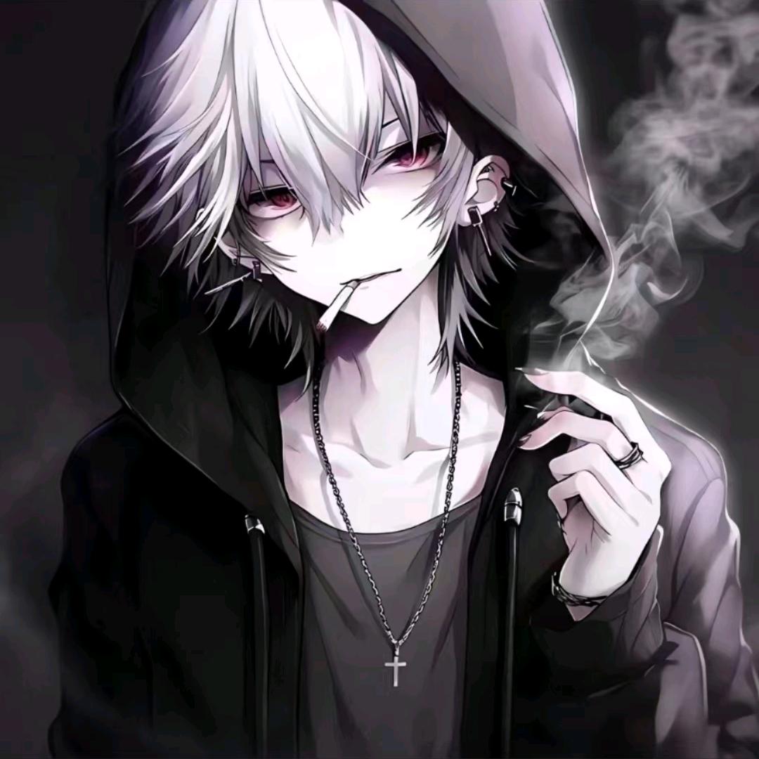 君慕寒