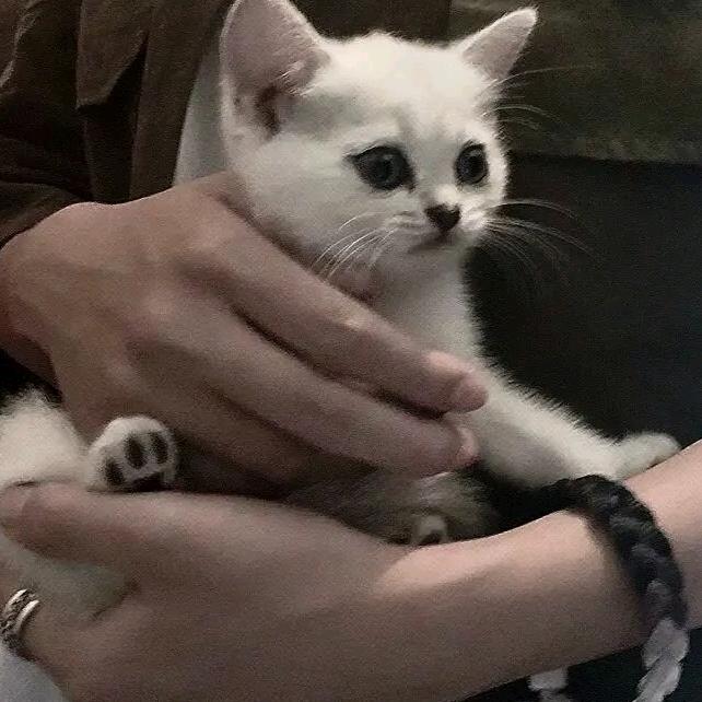 漫路慢走