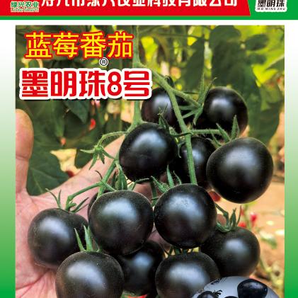 寿光绿兴农业