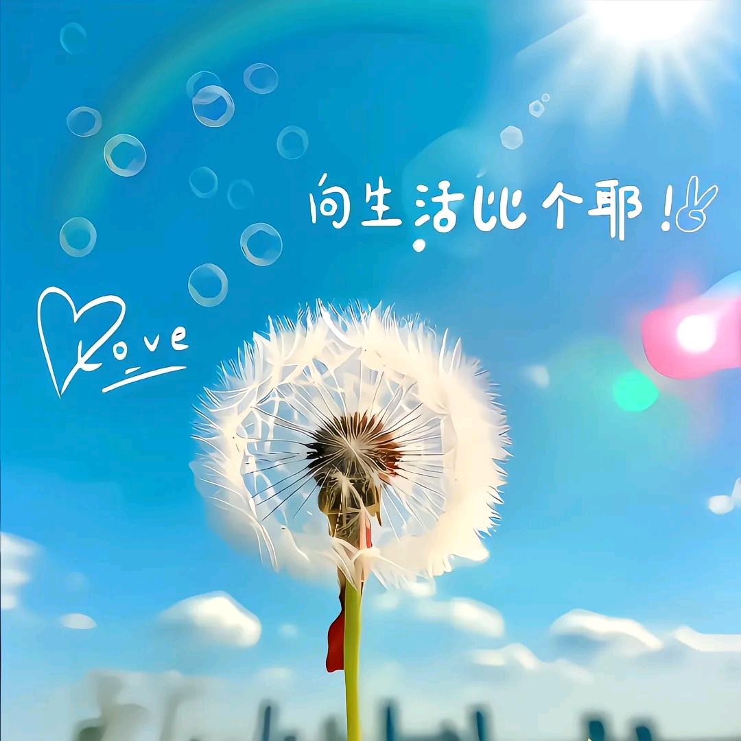 柯木崖