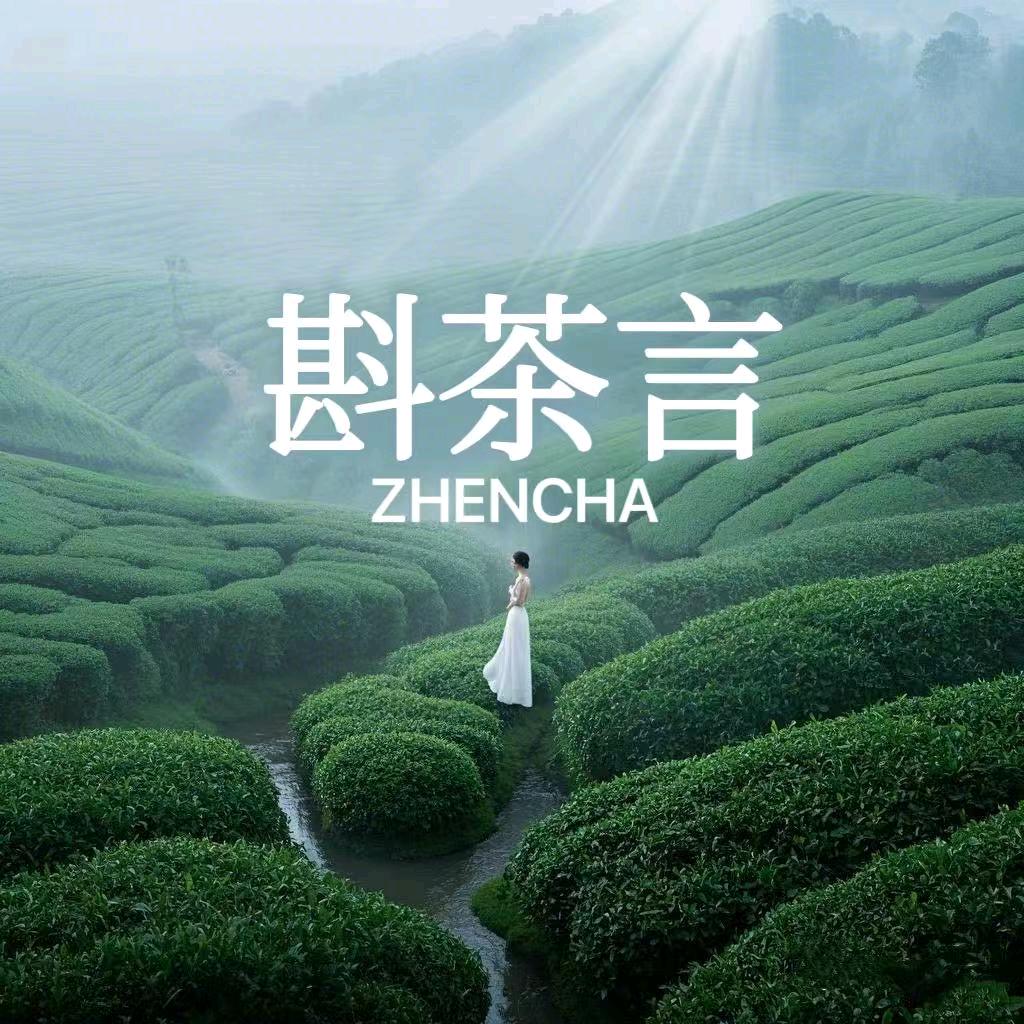 斟茶言（魏县店）