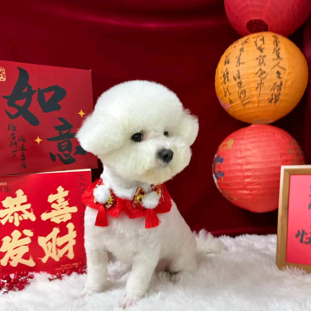 安银宝宝呀