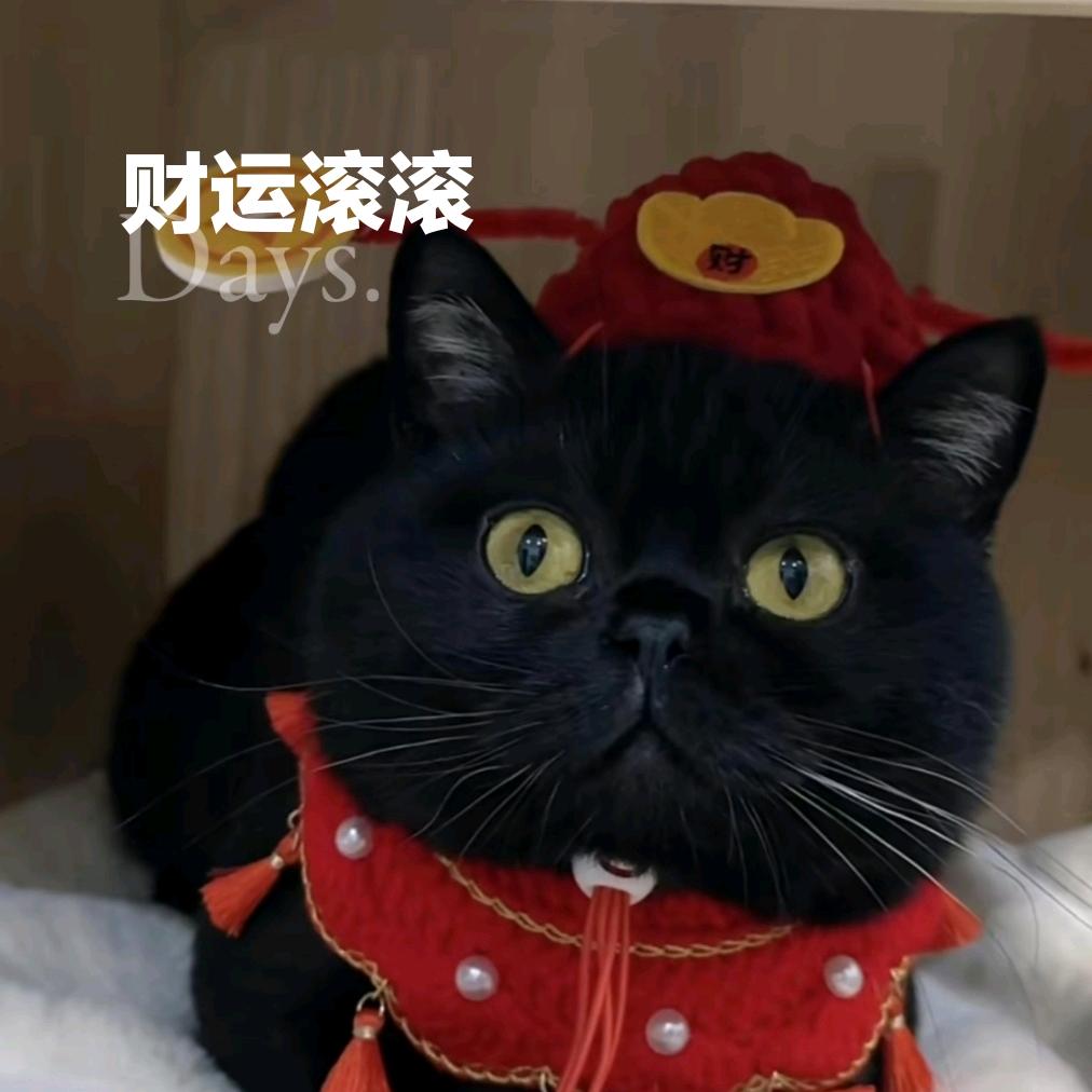 焑燻濄dē悲殇