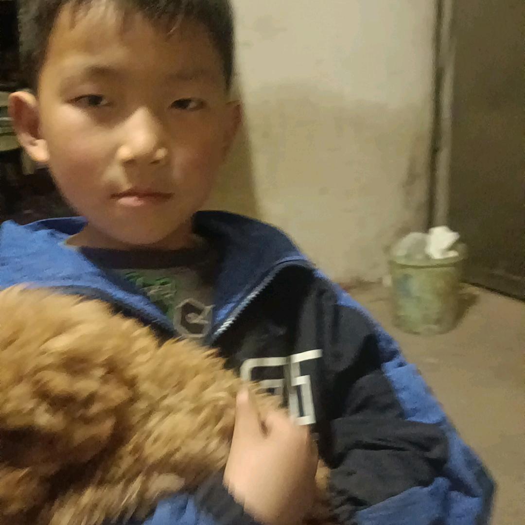 天天顺心
