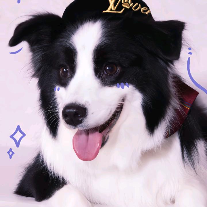 小林好物