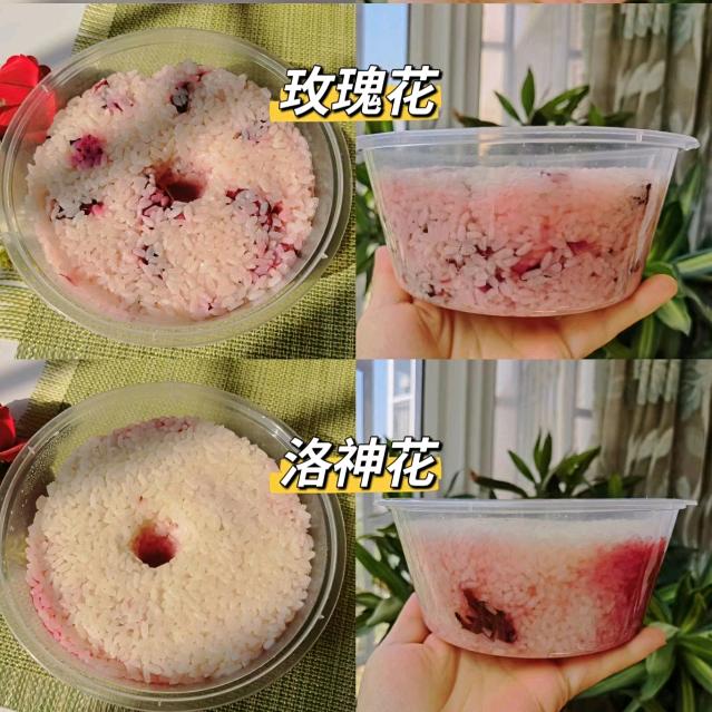 鱼鱼鱼鱼