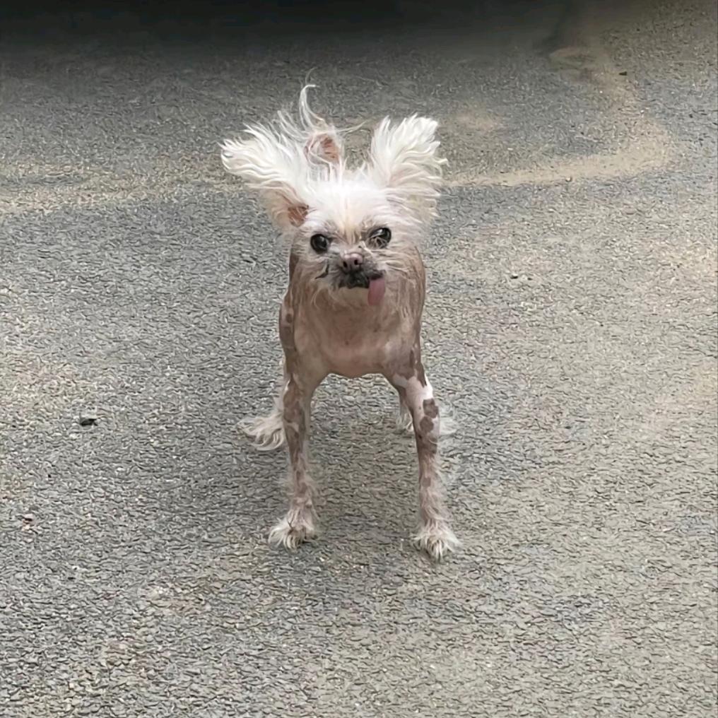 摆烂咸鱼
