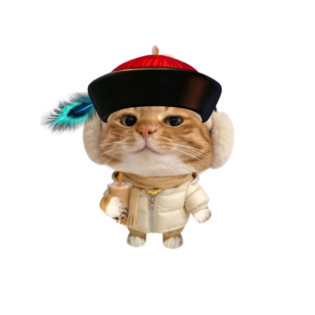 小姜女王爱睡觉