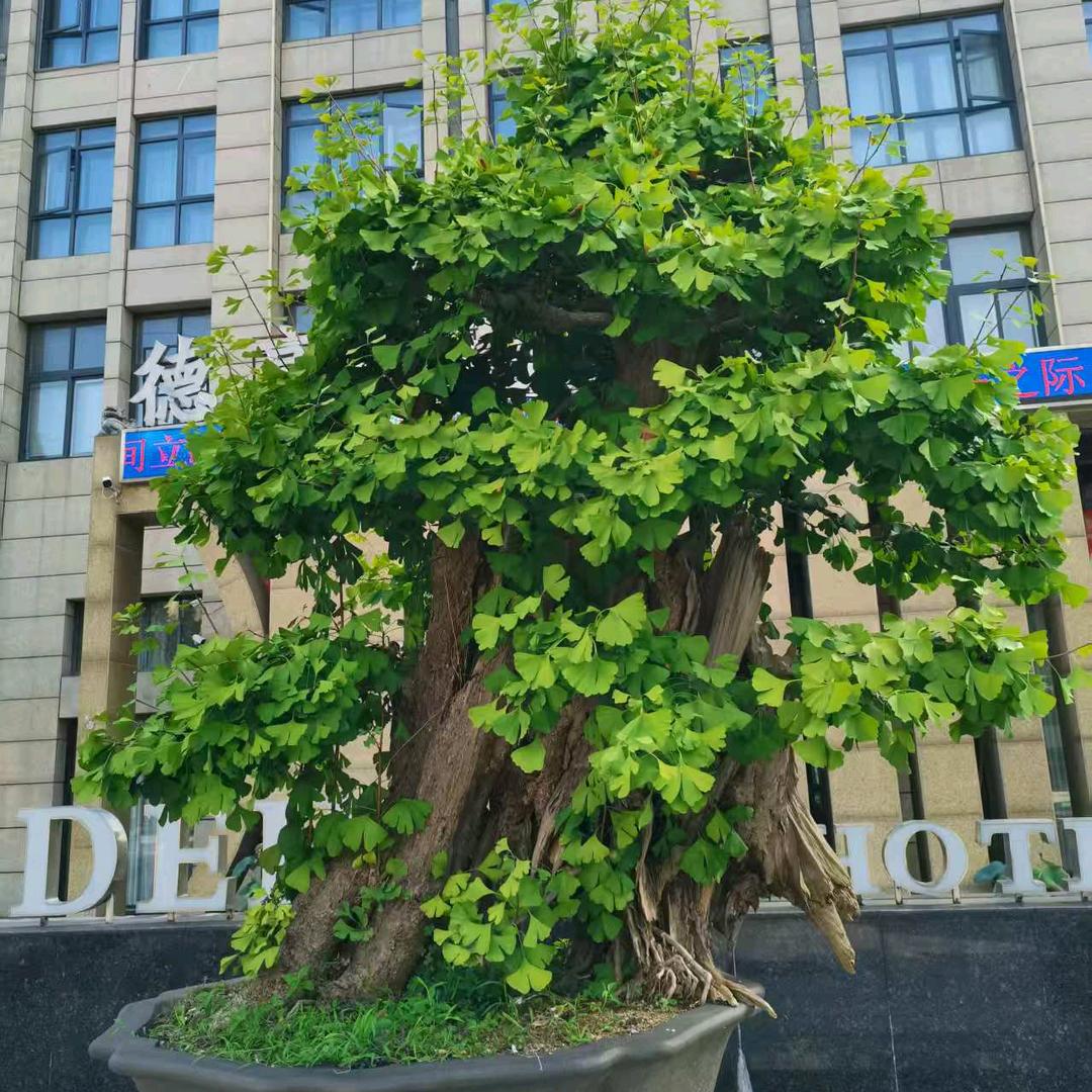 夜行者为人民服务