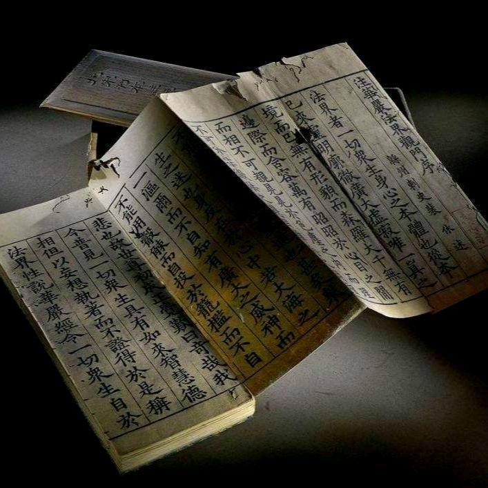 小猪学堂3