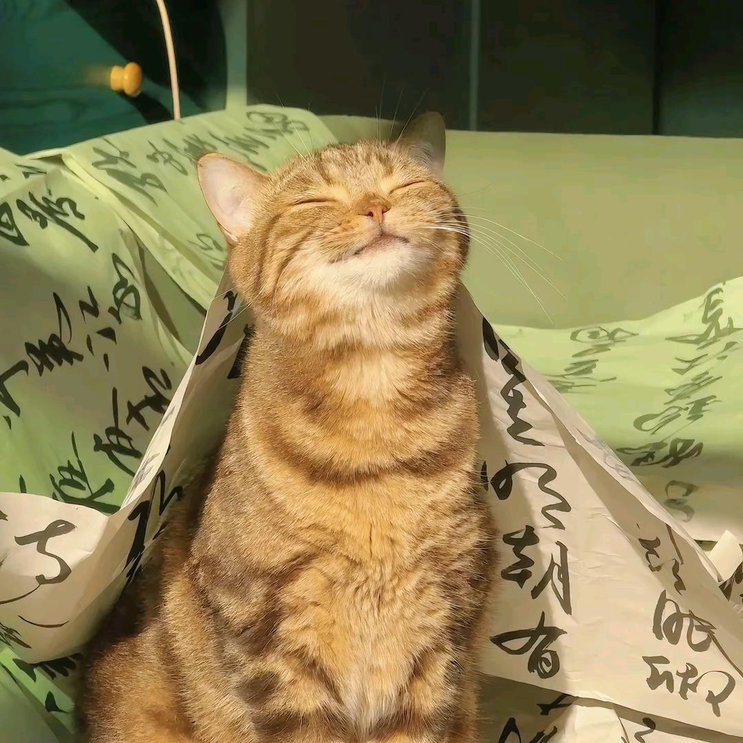 前尘