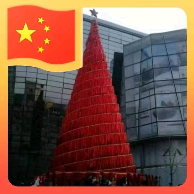 夏姐来啦（坚持版）