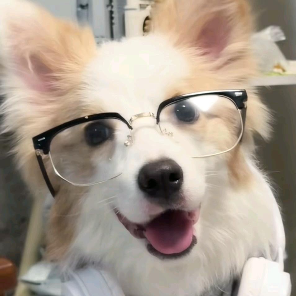 诗情醉仙