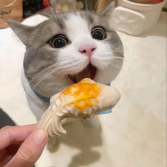 涵宝