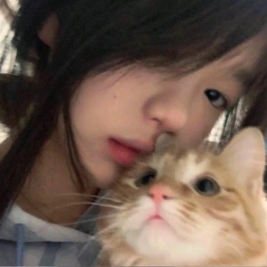 懒猫^🐾头像