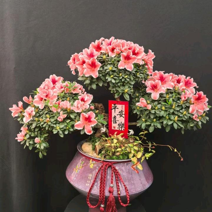 宁静致远