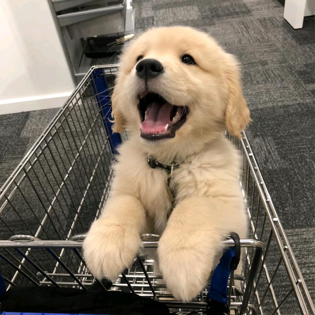 🛒