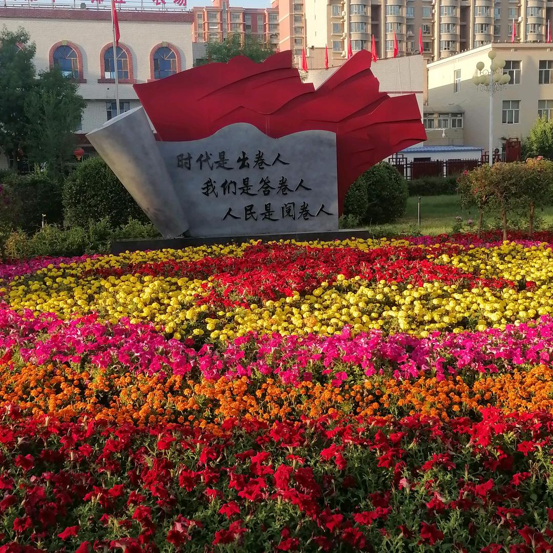 一生何求🙏🙏🌹🌹318