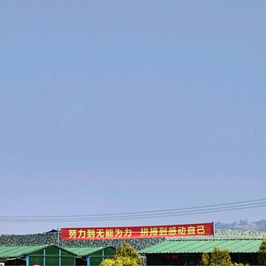 你搞什么鸡枞
