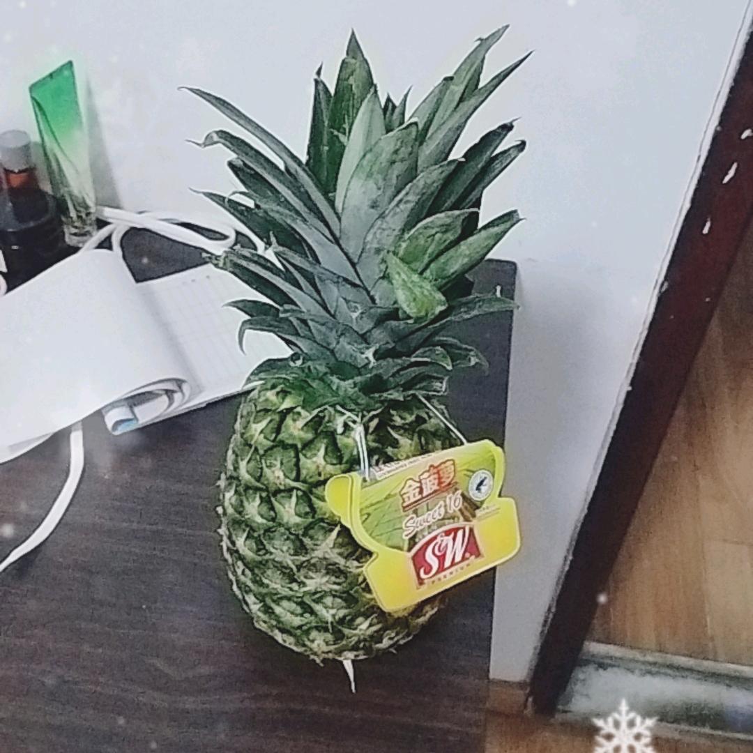 中年人的生活