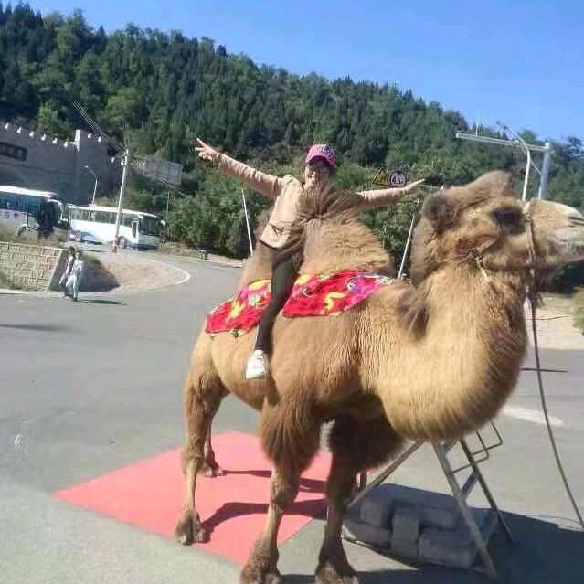 七六年十月龙林妹妹