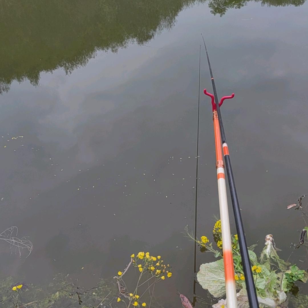 广告界最会钓鱼的男人