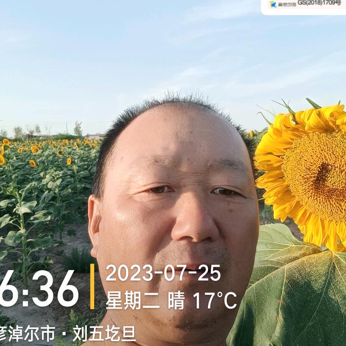 用户东哥