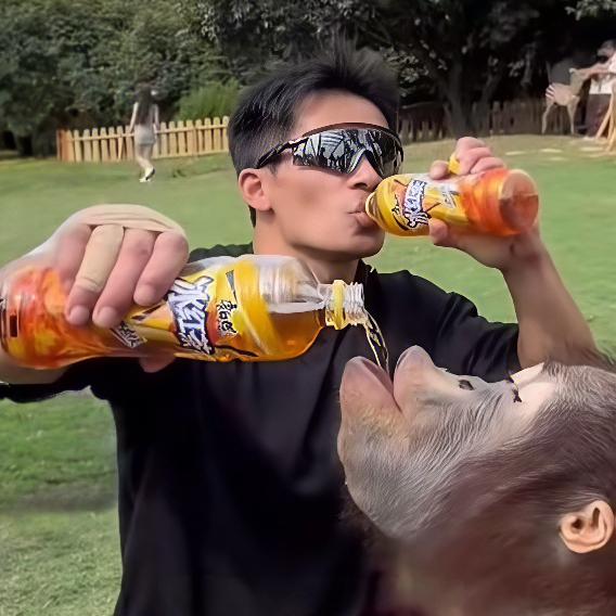 今日猪价为15便士