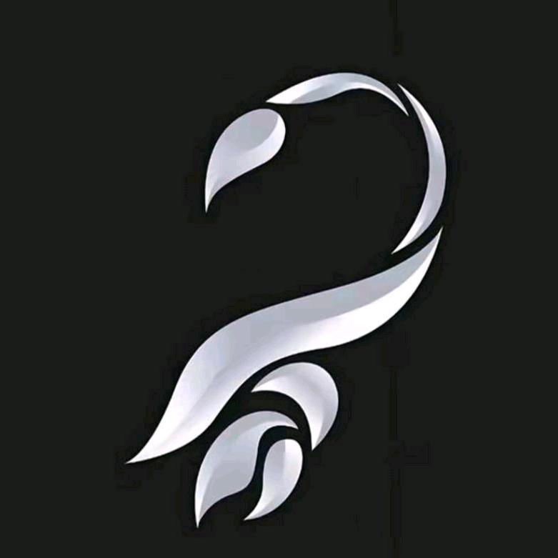 毒蝎子🦂